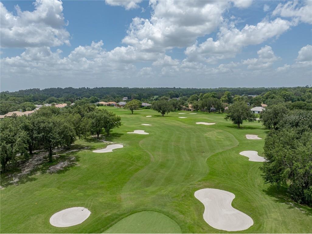 13753 Carryback Drive Dade City FL 33525 TB8417527 image91