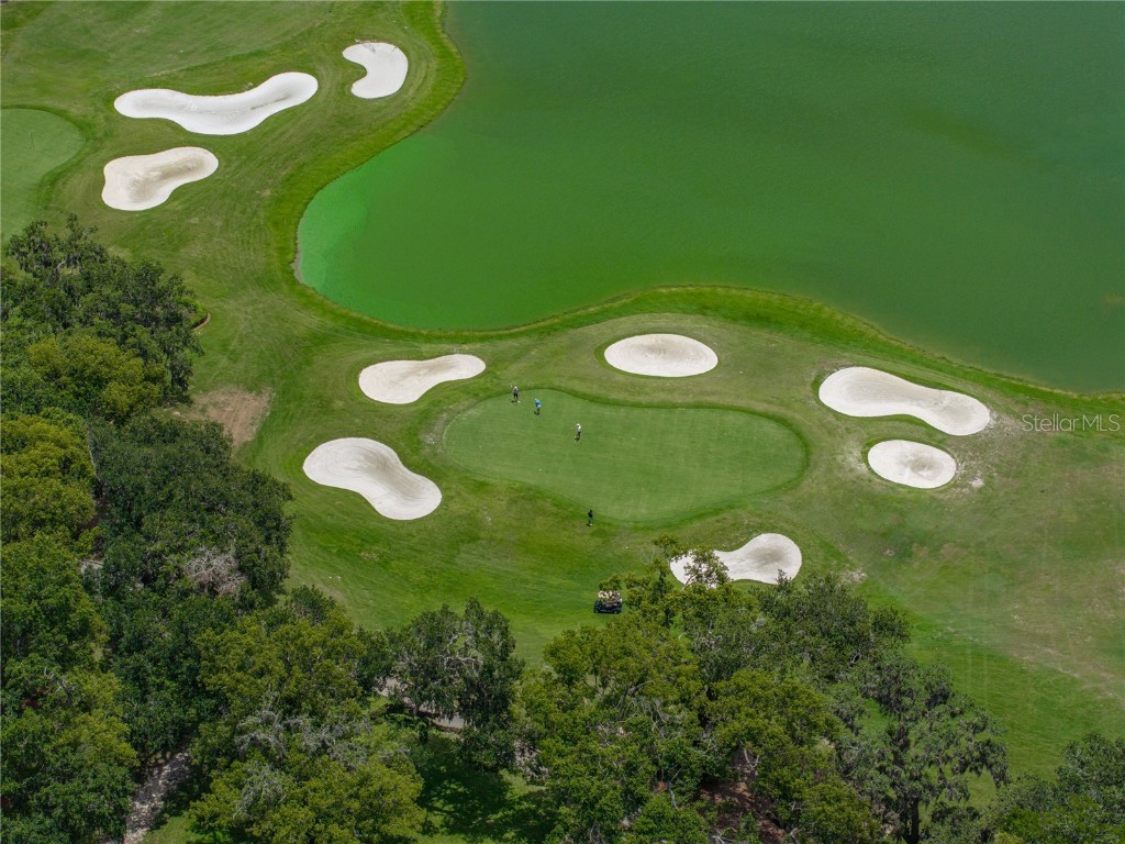 13753 Carryback Drive Dade City FL 33525 TB8417527 image92