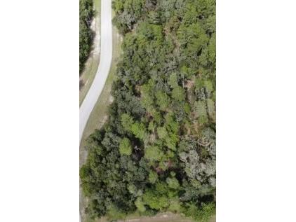 13753 Sand Oak Court Hudson FL 34669 T3530776 image1