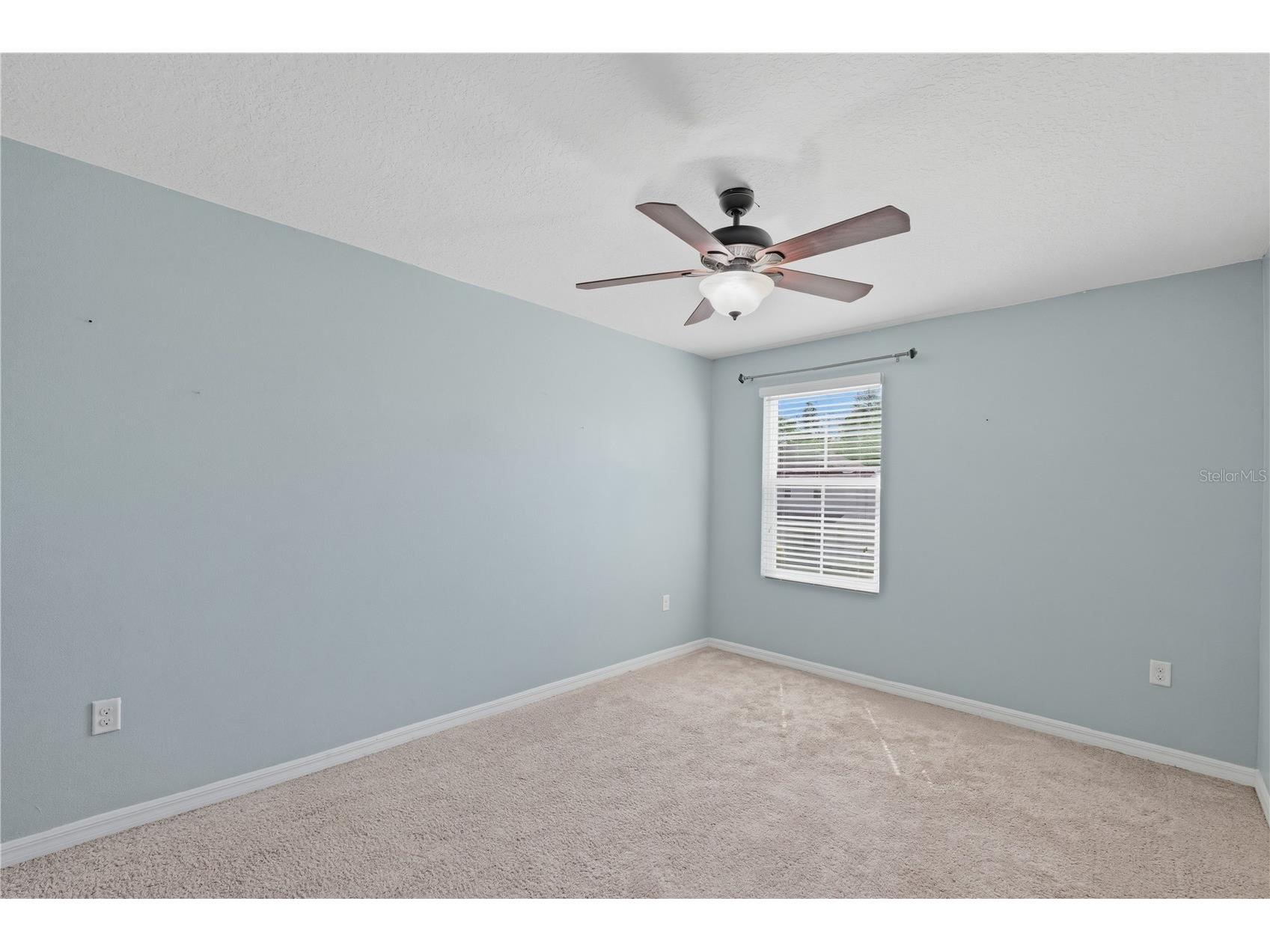 13755 Covey Run Place Spring Hill FL 34609 TB8496759 image22