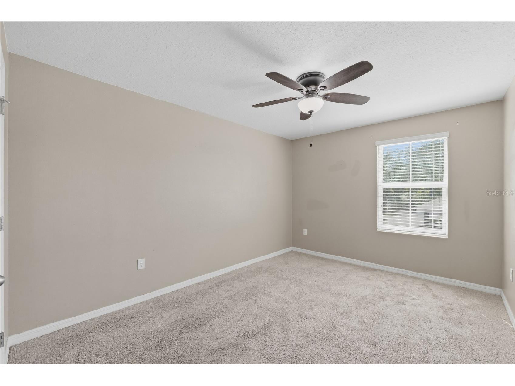 13755 Covey Run Place Spring Hill FL 34609 TB8496759 image24