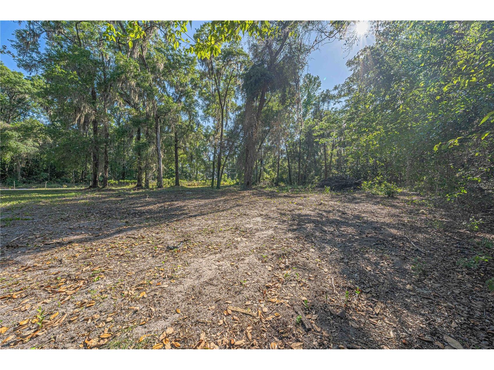 13755 SW 15th Place Ocala FL 34481 O6403862 image52