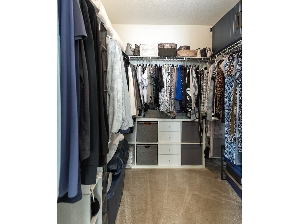 13757 Bressler Alley Windermere FL 34786 O6332021 image19