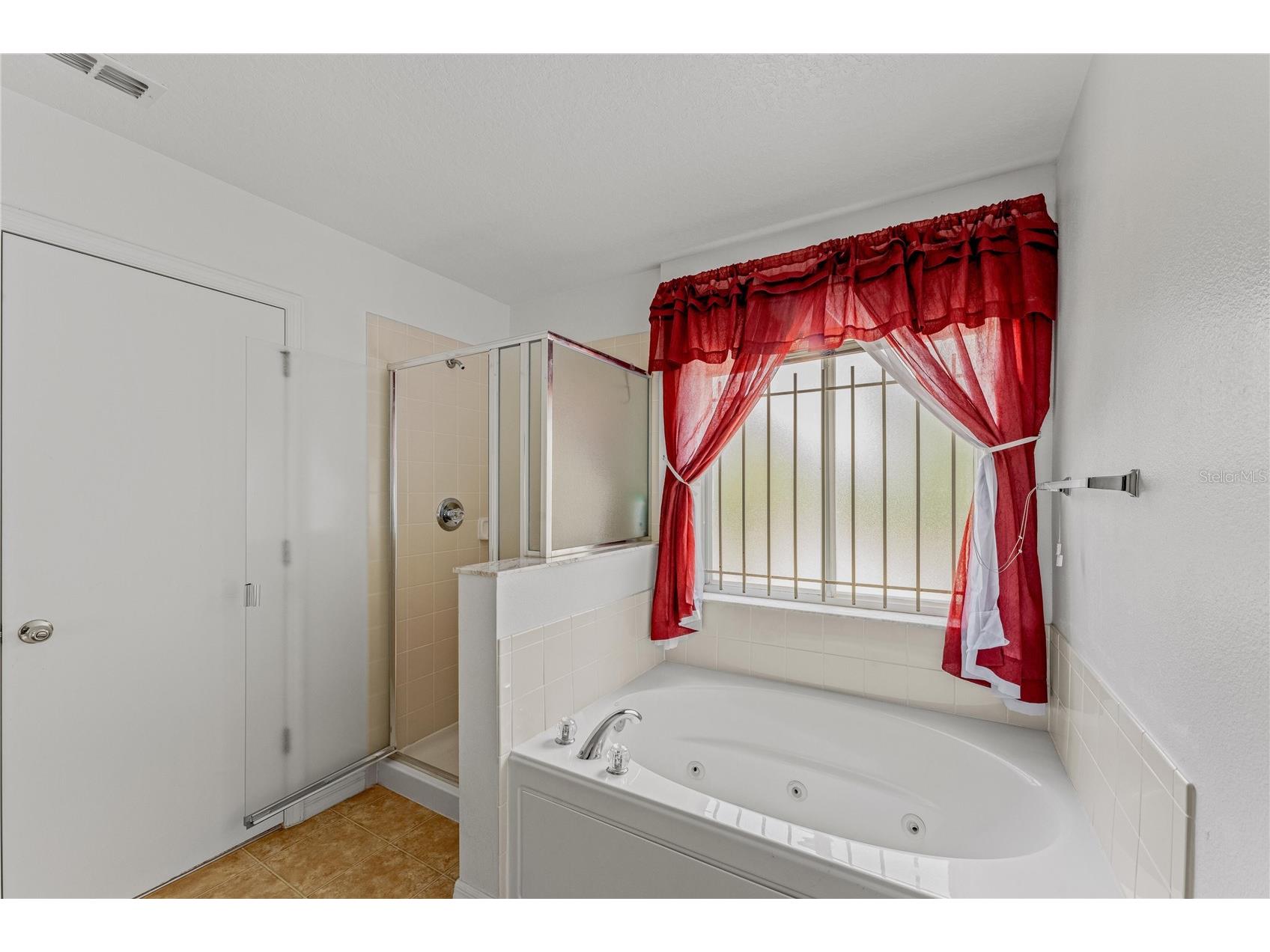 13759 Golden Russet Drive Winter Garden FL 34787 O6409757 image17