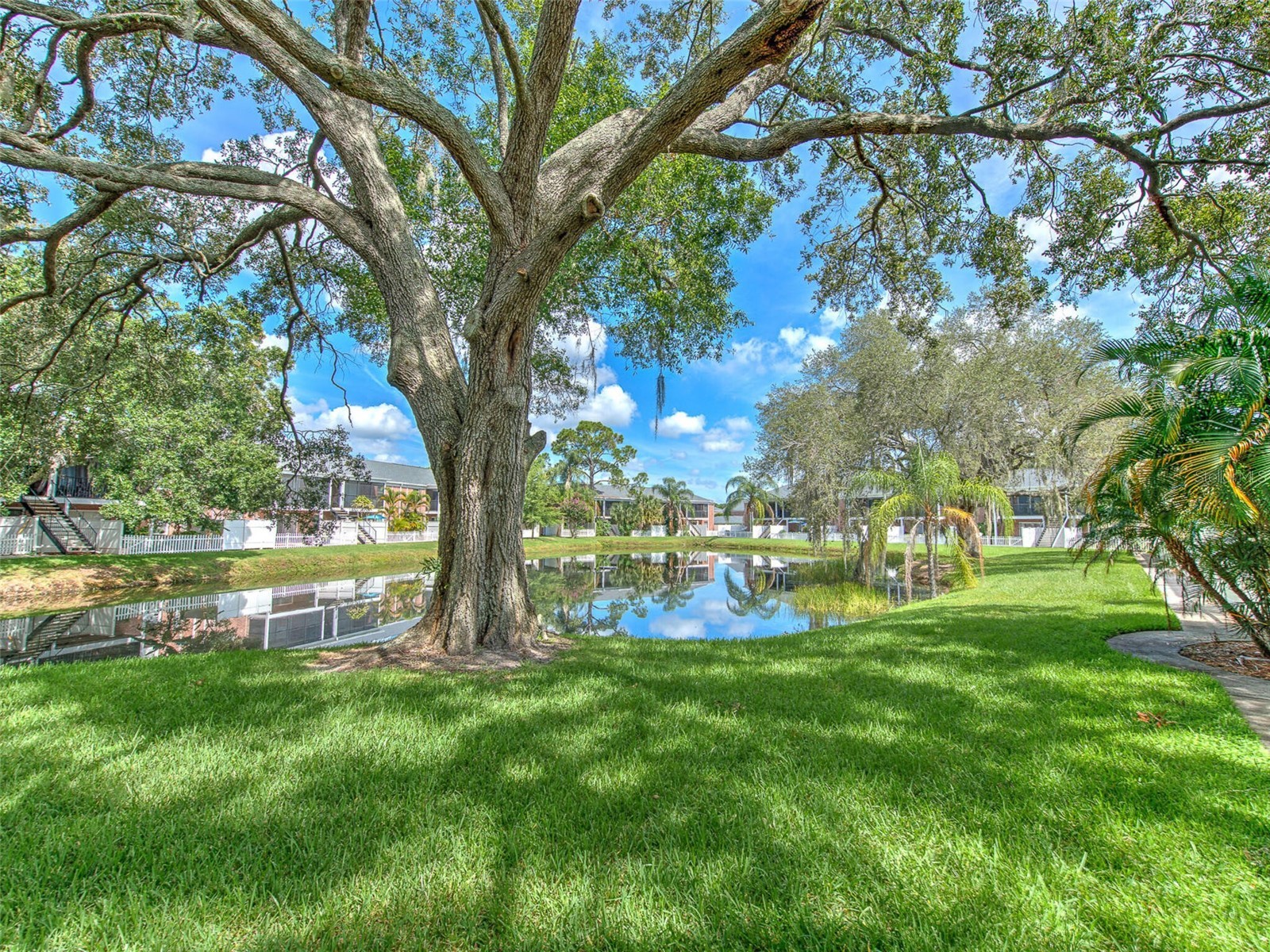 13759 Orange Sunset Drive #201 Tampa FL 33618 - LAKE MAGDALENE TB8417873 image13