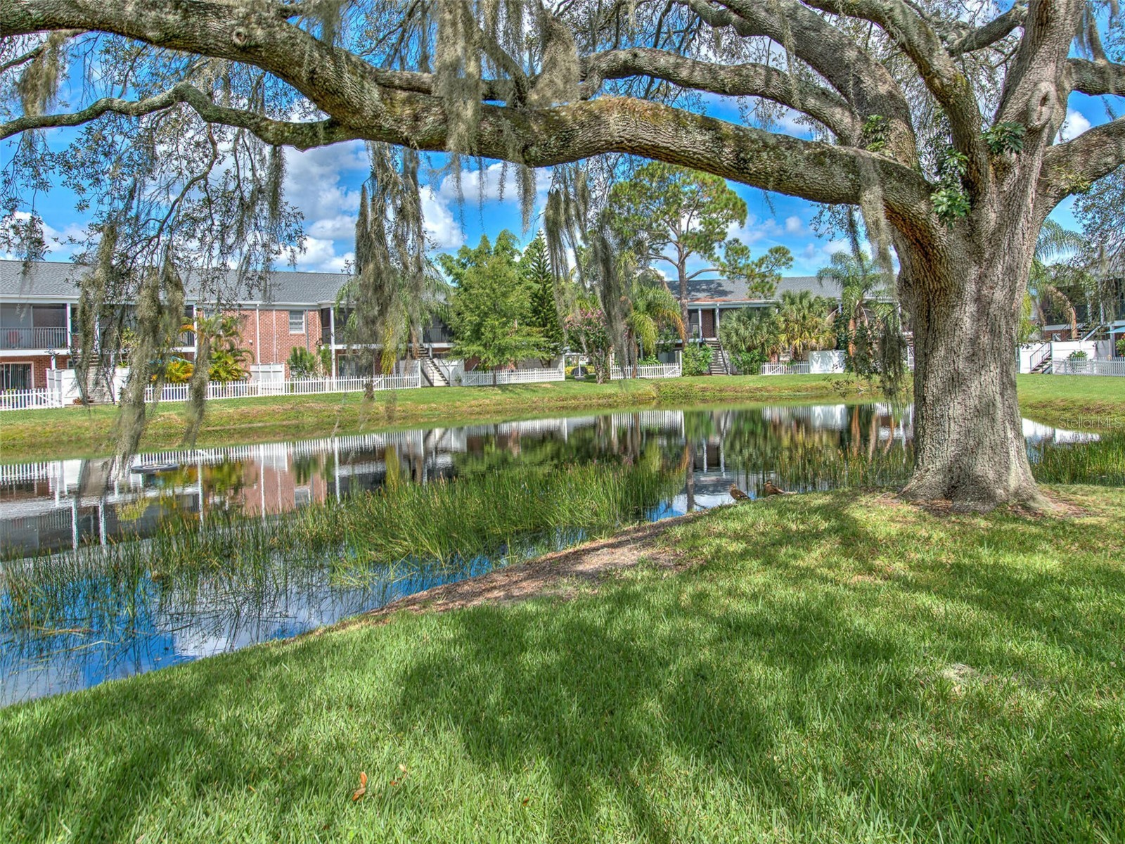 13759 Orange Sunset Drive #201 Tampa FL 33618 - LAKE MAGDALENE TB8417873 image19