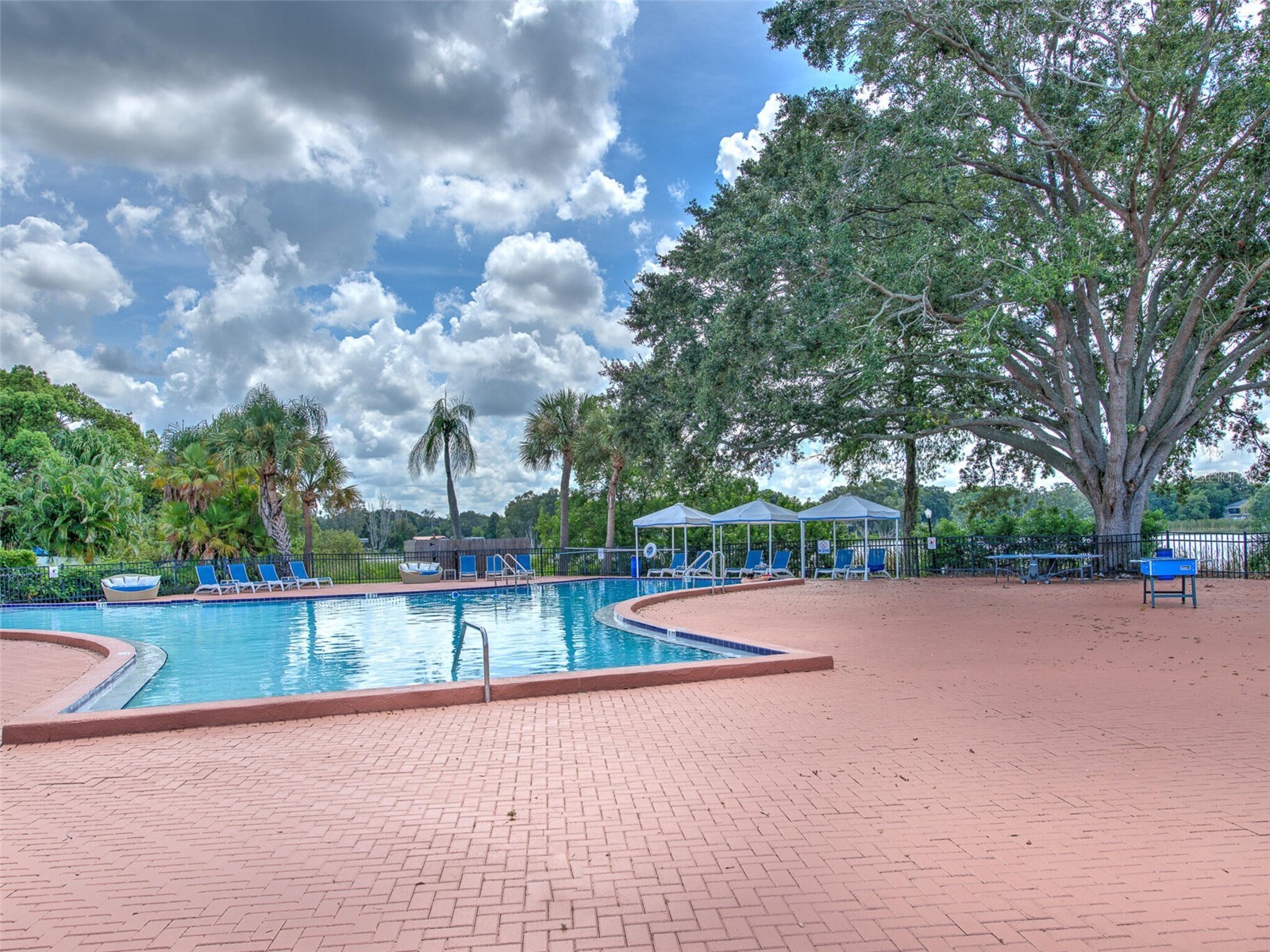 13759 Orange Sunset Drive #201 Tampa FL 33618 - LAKE MAGDALENE TB8417873 image48