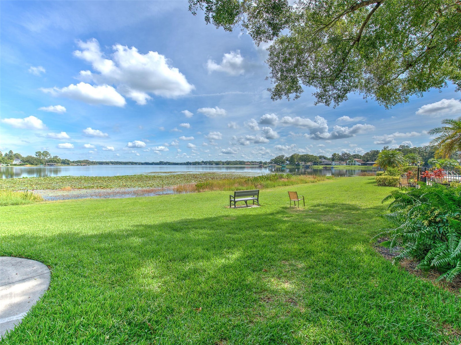 13759 Orange Sunset Drive #201 Tampa FL 33618 - LAKE MAGDALENE TB8417873 image56
