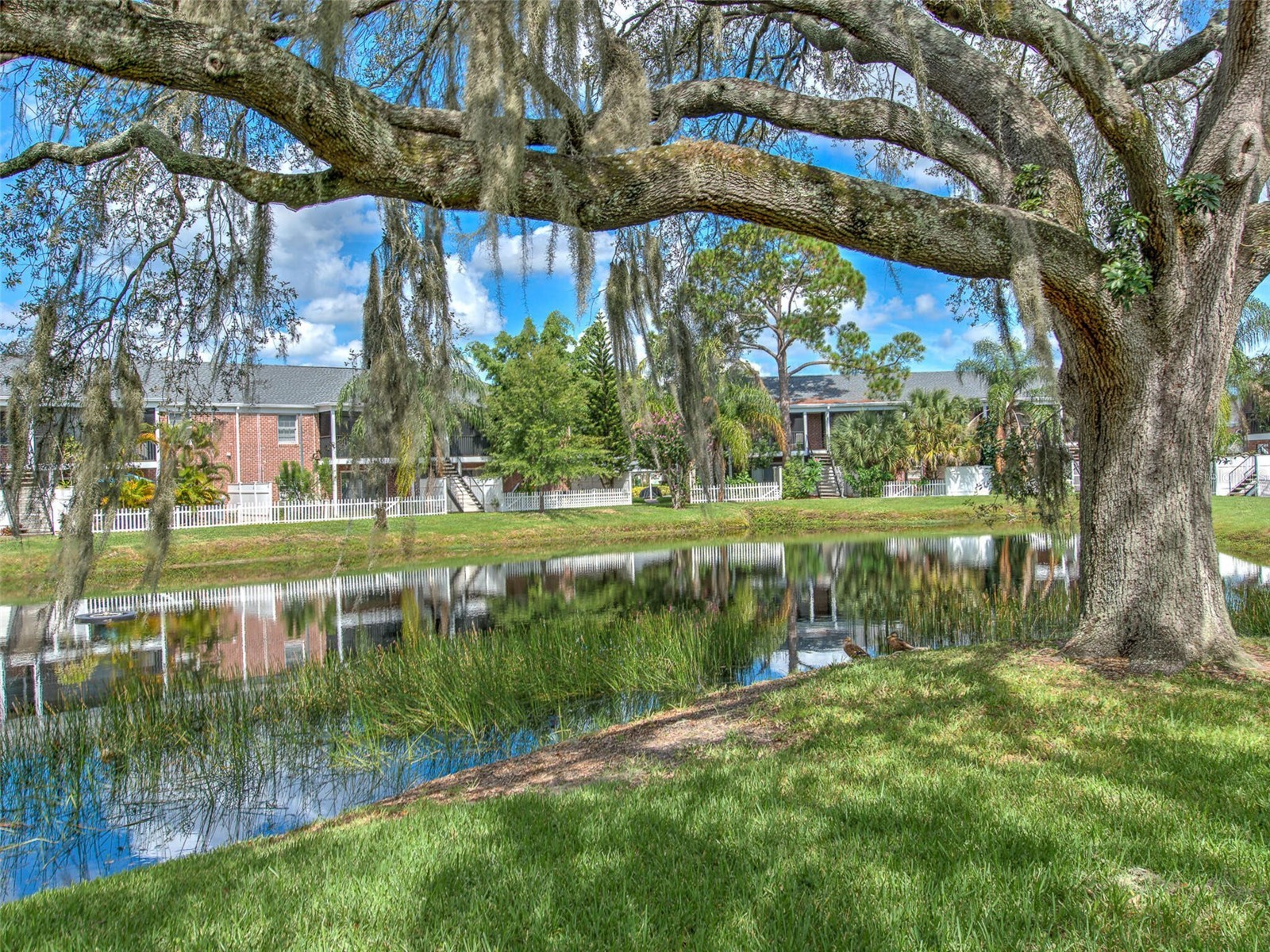 13759 Orange Sunset Drive #201 Tampa FL 33618 - LAKE MAGDALENE TB8417873 image6
