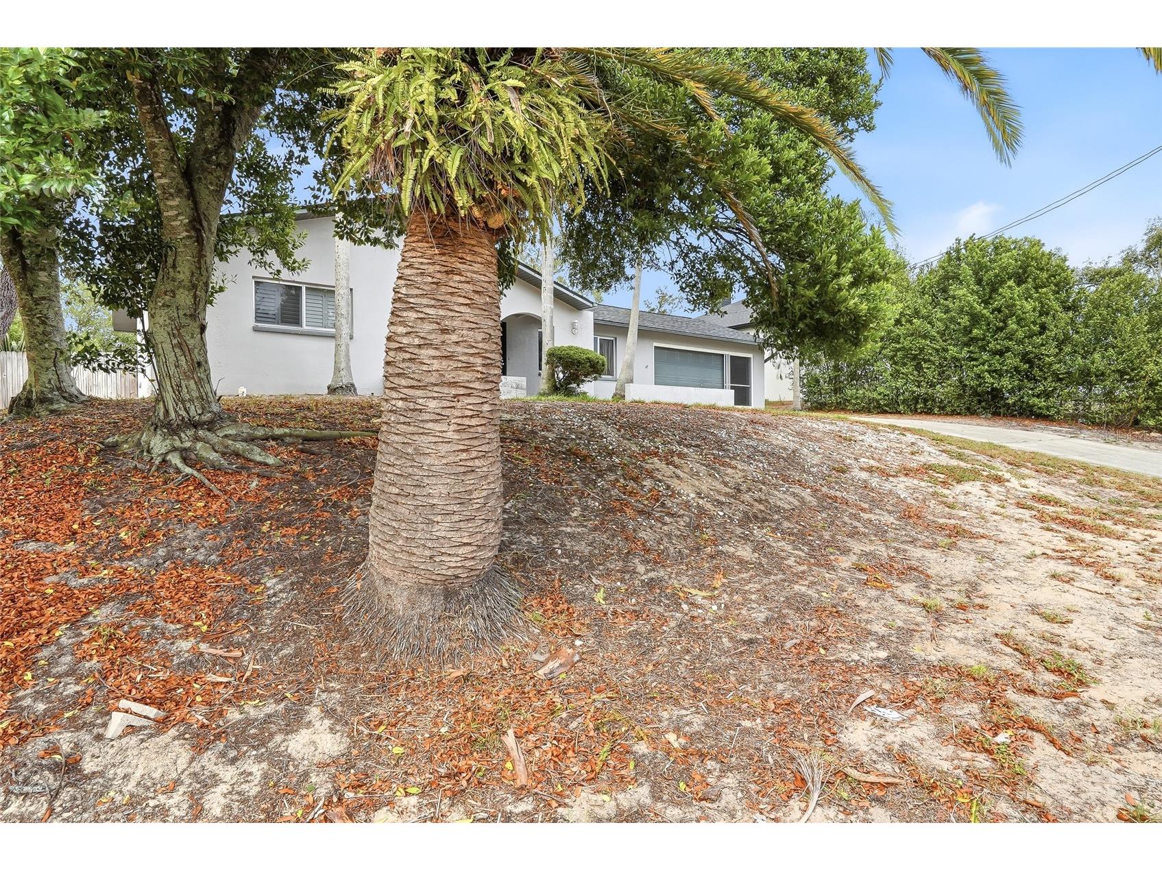 1376 Newhope Road Spring Hill FL 34606 TB8508975 image3