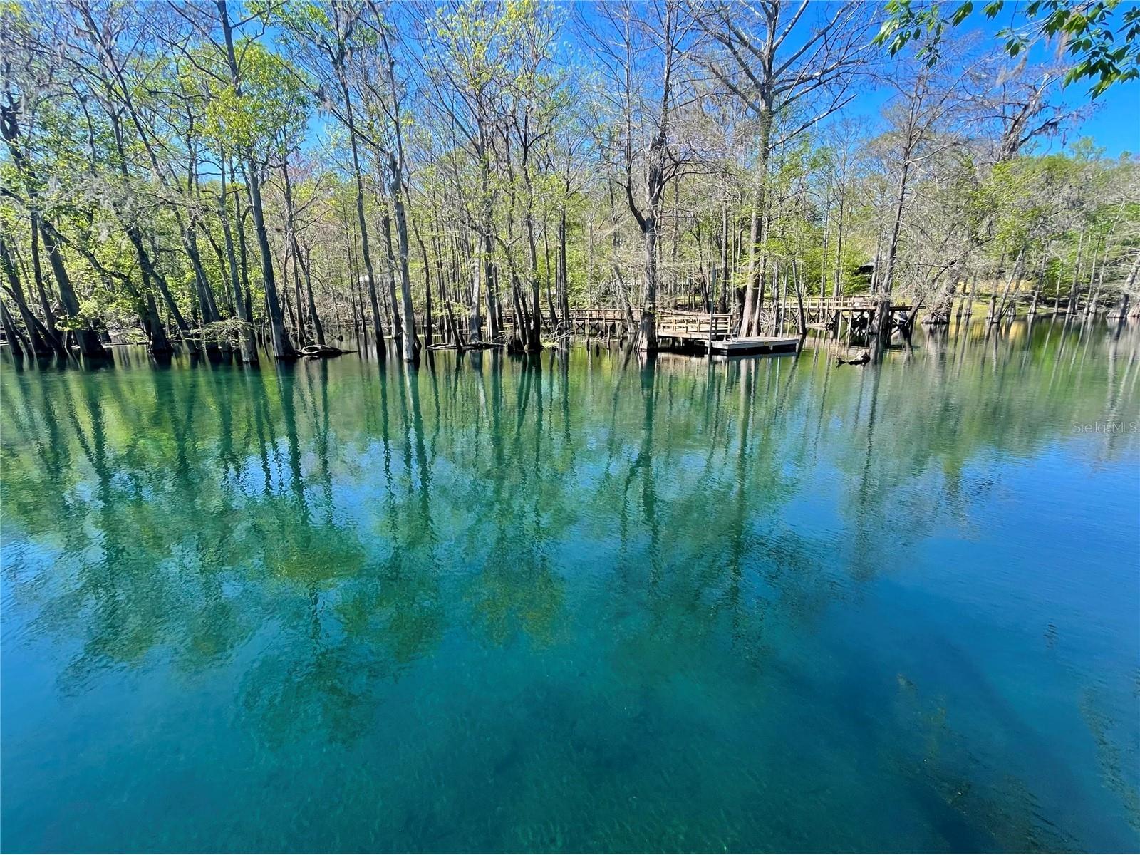 1376 Riverside Avenue Fort White FL 32038 - ICHETUCKNEEE GC538464 image38