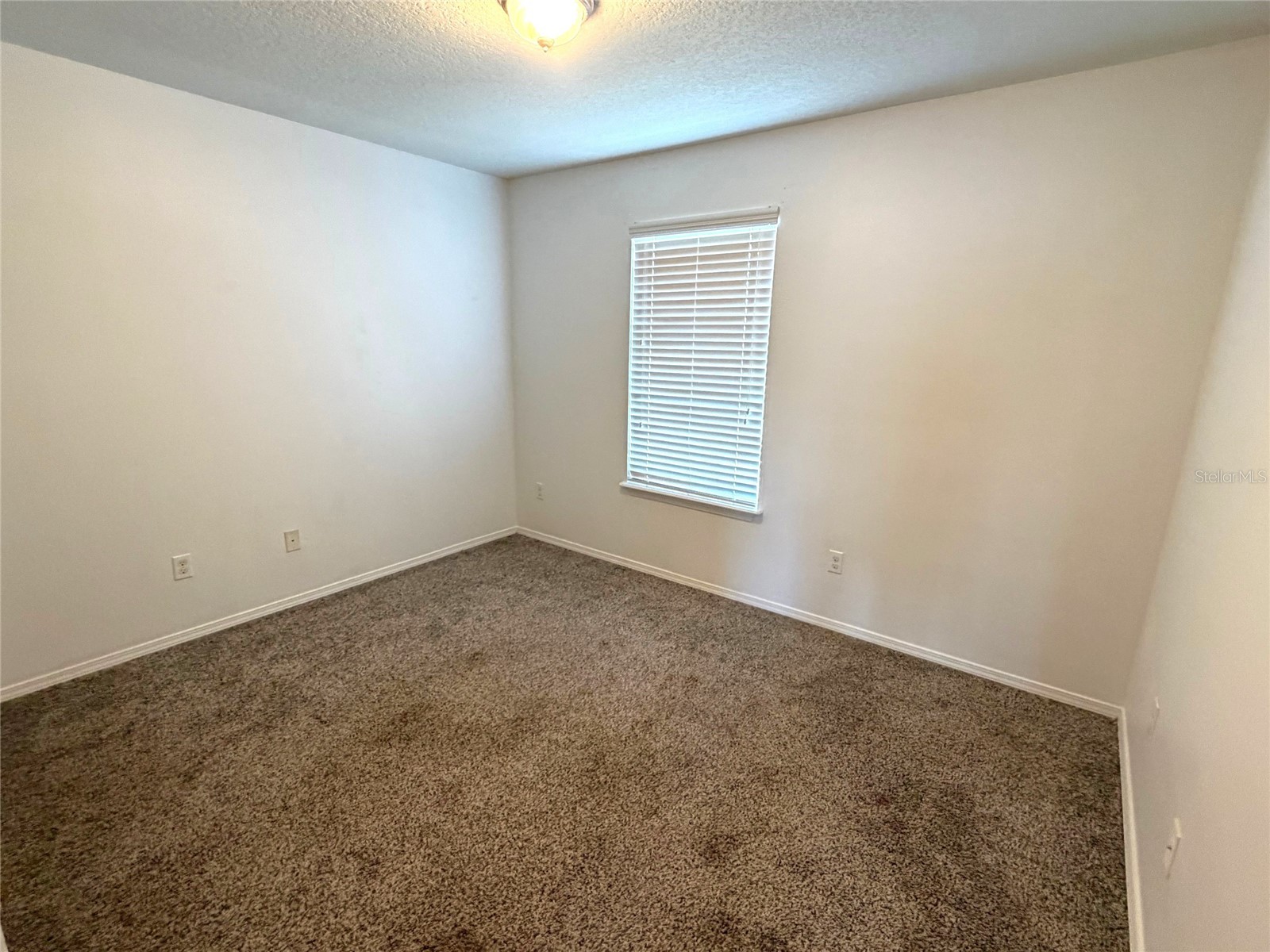 1376 Seburn Road Apopka FL 32703 G5109793 image21