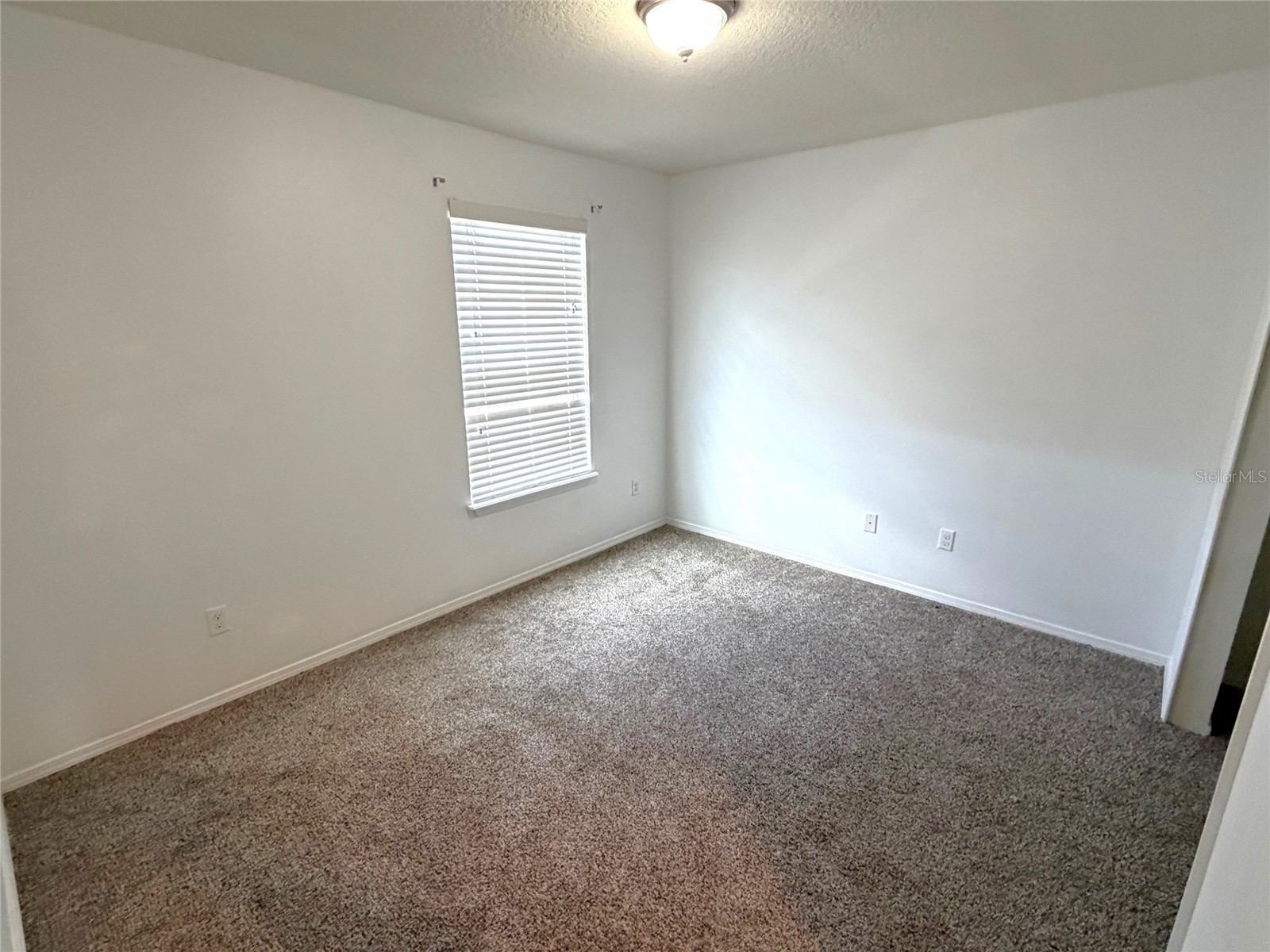 1376 Seburn Road Apopka FL 32703 G5109793 image22