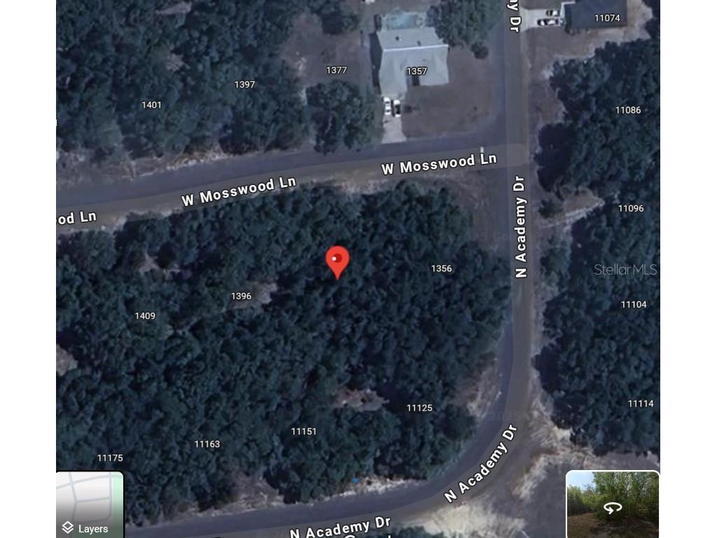 1376 W Mosswood Lane Citrus Springs FL 34434 S5120020 image1