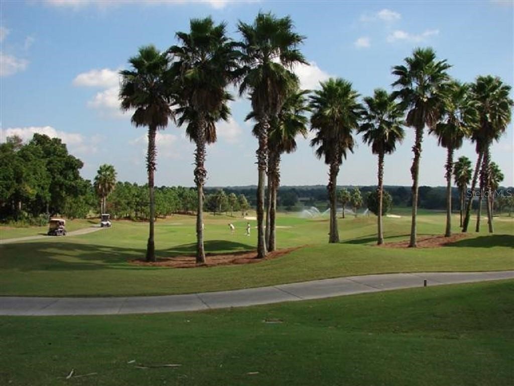 13760 SE 86th Terrace Summerfield FL 34491 G5108263 image47