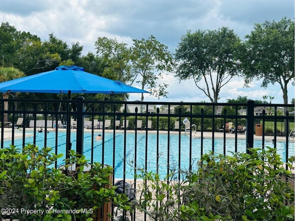 13761 Weatherstone Drive Spring Hill FL 34609 W7878560 image77