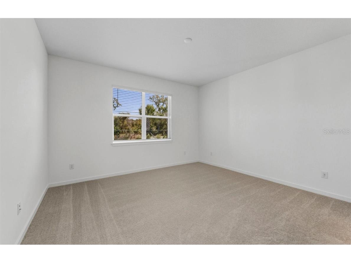 13764 Rocky Pine Place Spring Hill FL 34610 TB8429546 image9