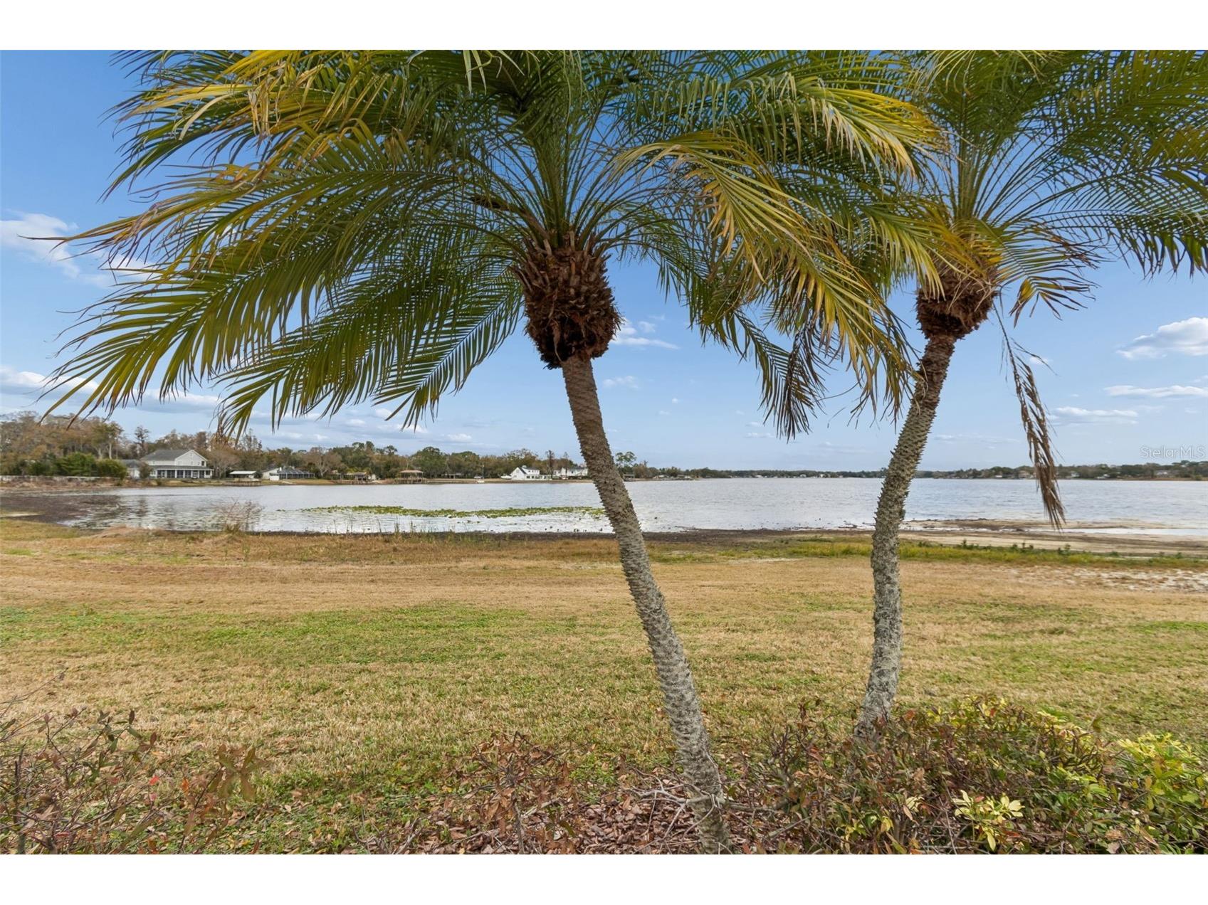 13765 Juniper Blossom Drive #101 Tampa FL 33618 - LAKE MAGDALENE TB8498119 image54