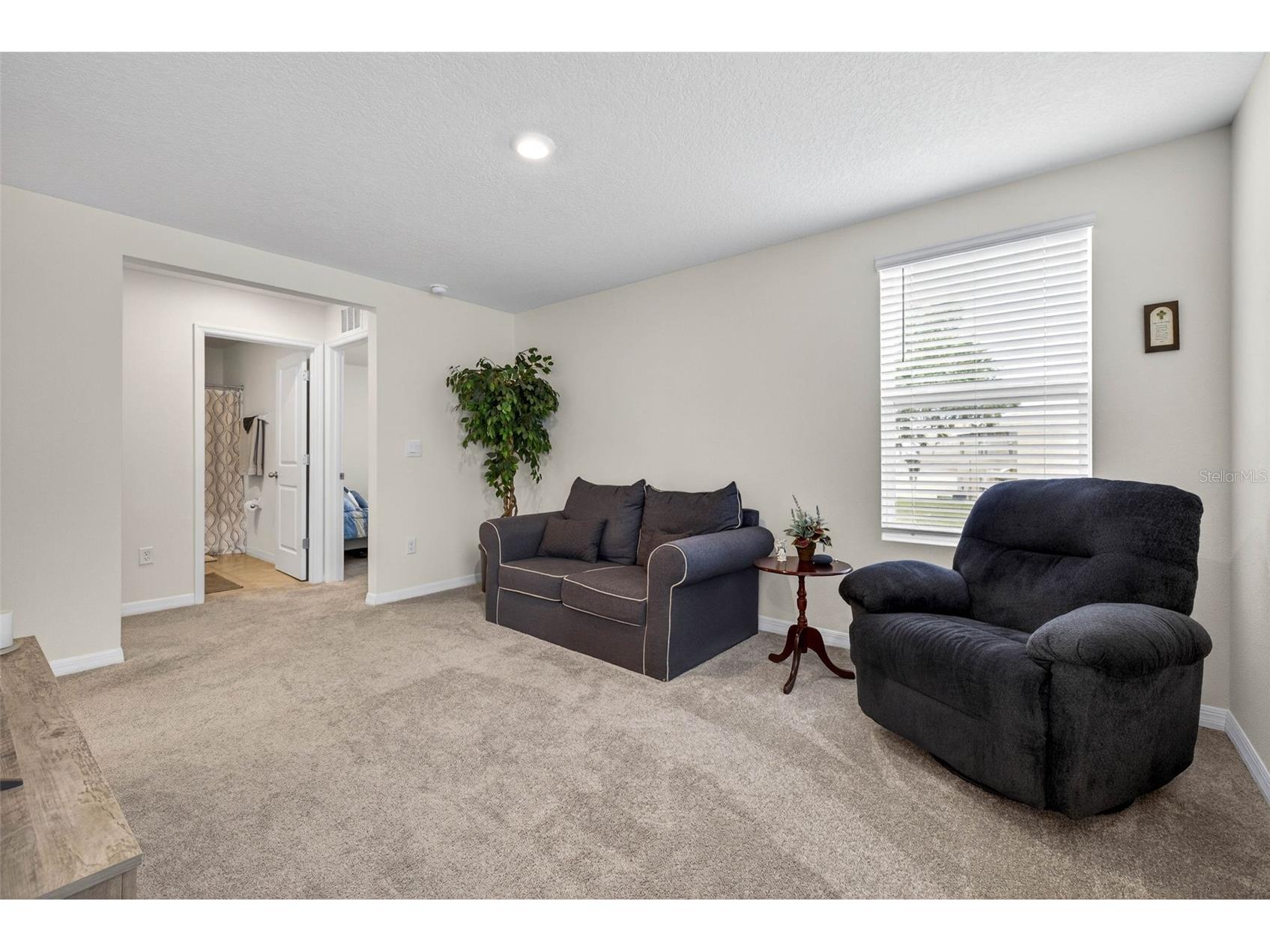 13765 Whiskey Daisy Drive Dade City FL 33525 TB8495268 image17