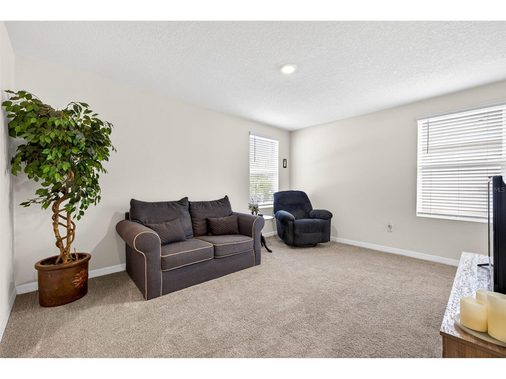13765 Whiskey Daisy Drive Dade City FL 33525 TB8495268 image18