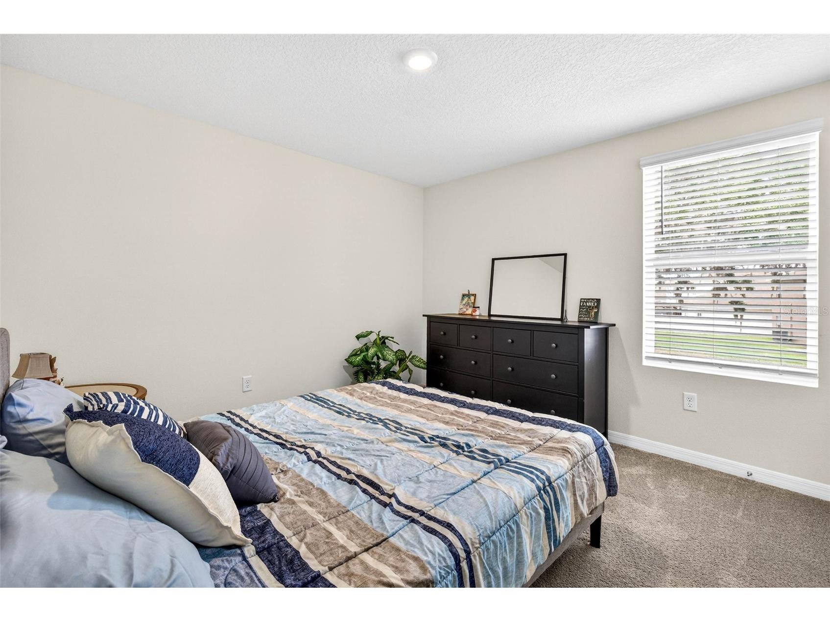 13765 Whiskey Daisy Drive Dade City FL 33525 TB8495268 image28