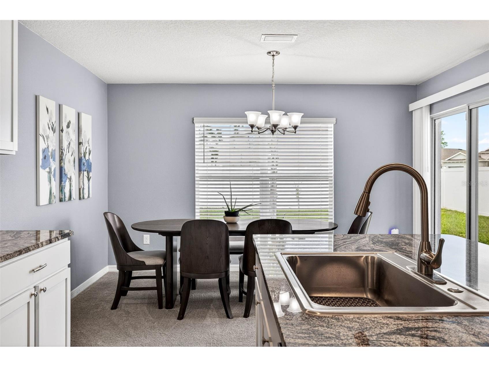 13765 Whiskey Daisy Drive Dade City FL 33525 TB8495268 image8