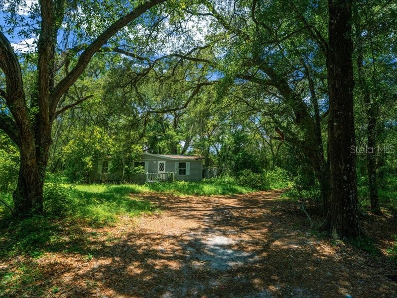 13768 County Road 475 Oxford FL 34484 O6259094 image17