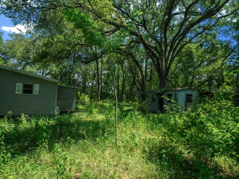 13768 County Road 475 Oxford FL 34484 O6259094 image18