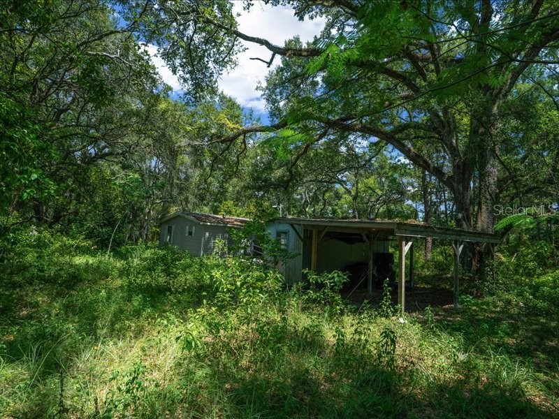 13768 County Road 475 Oxford FL 34484 O6259094 image19