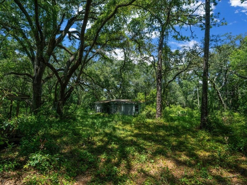 13768 County Road 475 Oxford FL 34484 O6259094 image20