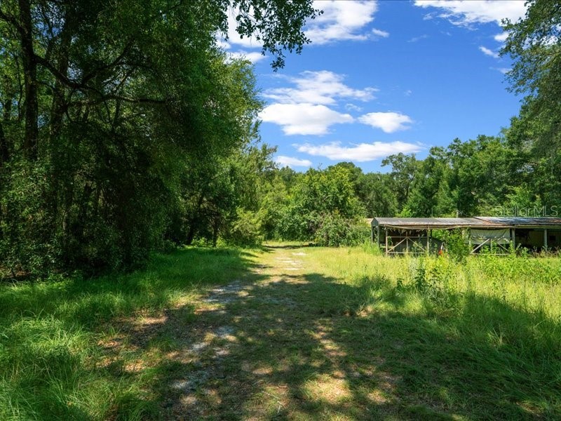 13768 County Road 475 Oxford FL 34484 O6259094 image22