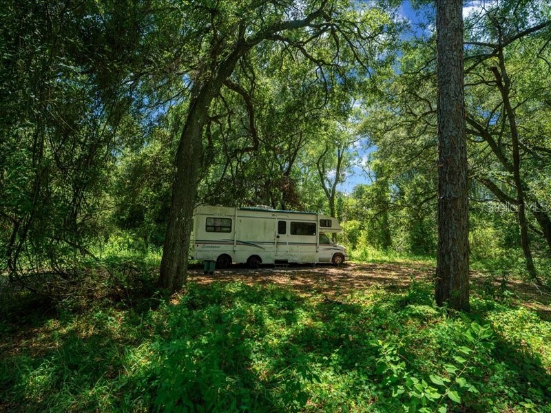 13768 County Road 475 Oxford FL 34484 O6259094 image23