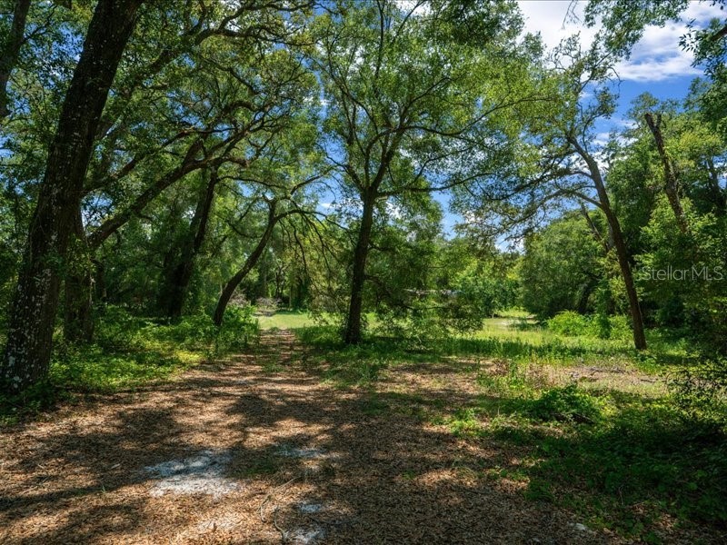 13768 County Road 475 Oxford FL 34484 O6259094 image24