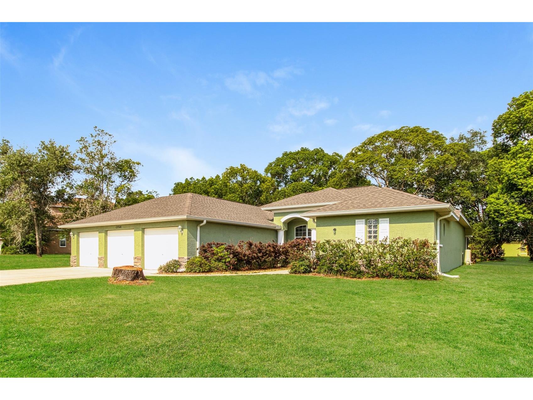13768 Rudi Loop Spring Hill FL 34609 TB8524432 image2