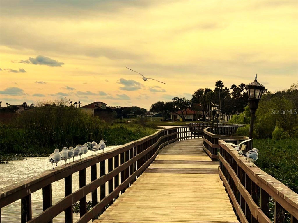 1377 Anchor Bend Way Kissimmee FL 34746 O6340461 image15