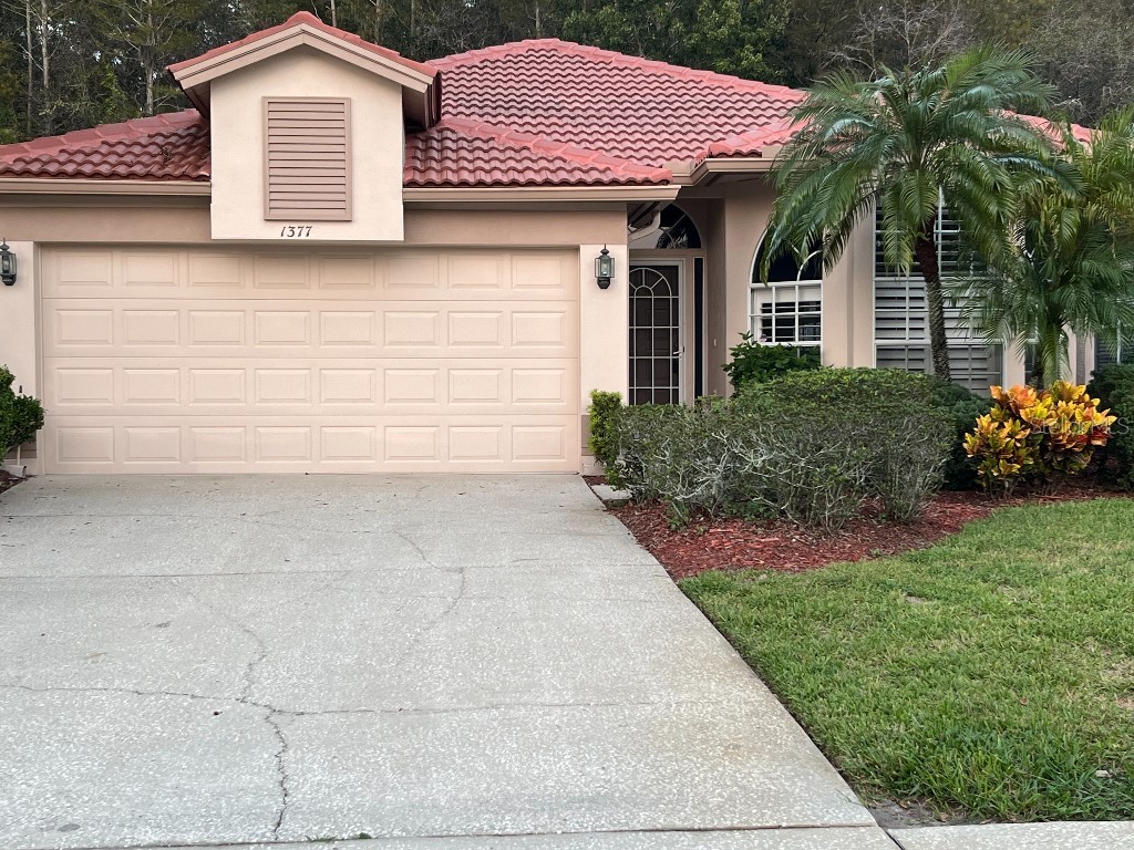 1377 Dartford Drive Tarpon Springs FL 34688 W7858046 image1