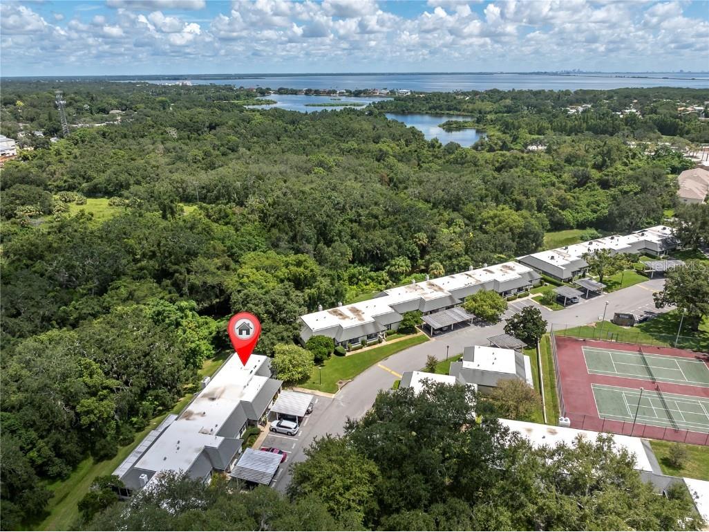 1377 N Mcmullen Booth Road Clearwater FL 33759 TB8420347 image3