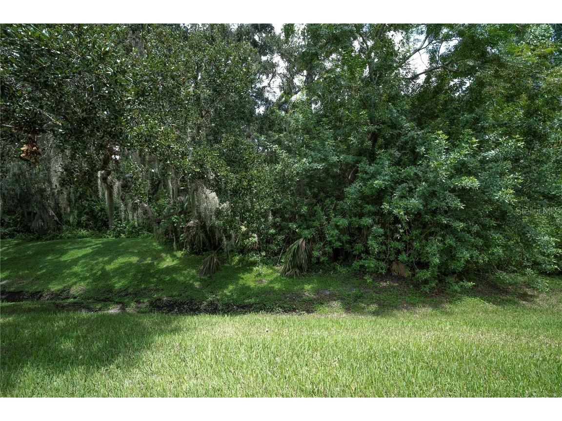 1377 N Mcmullen Booth Road Clearwater FL 33759 TB8420347 image30