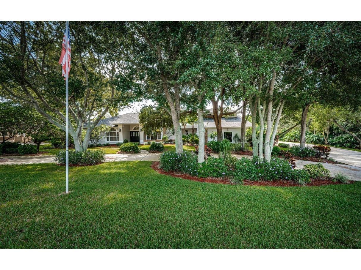 1377 Sail Harbor Circle Tarpon Springs FL 34689 - SALT LAKE/ANCLOTE RIVER TB8300854 image1