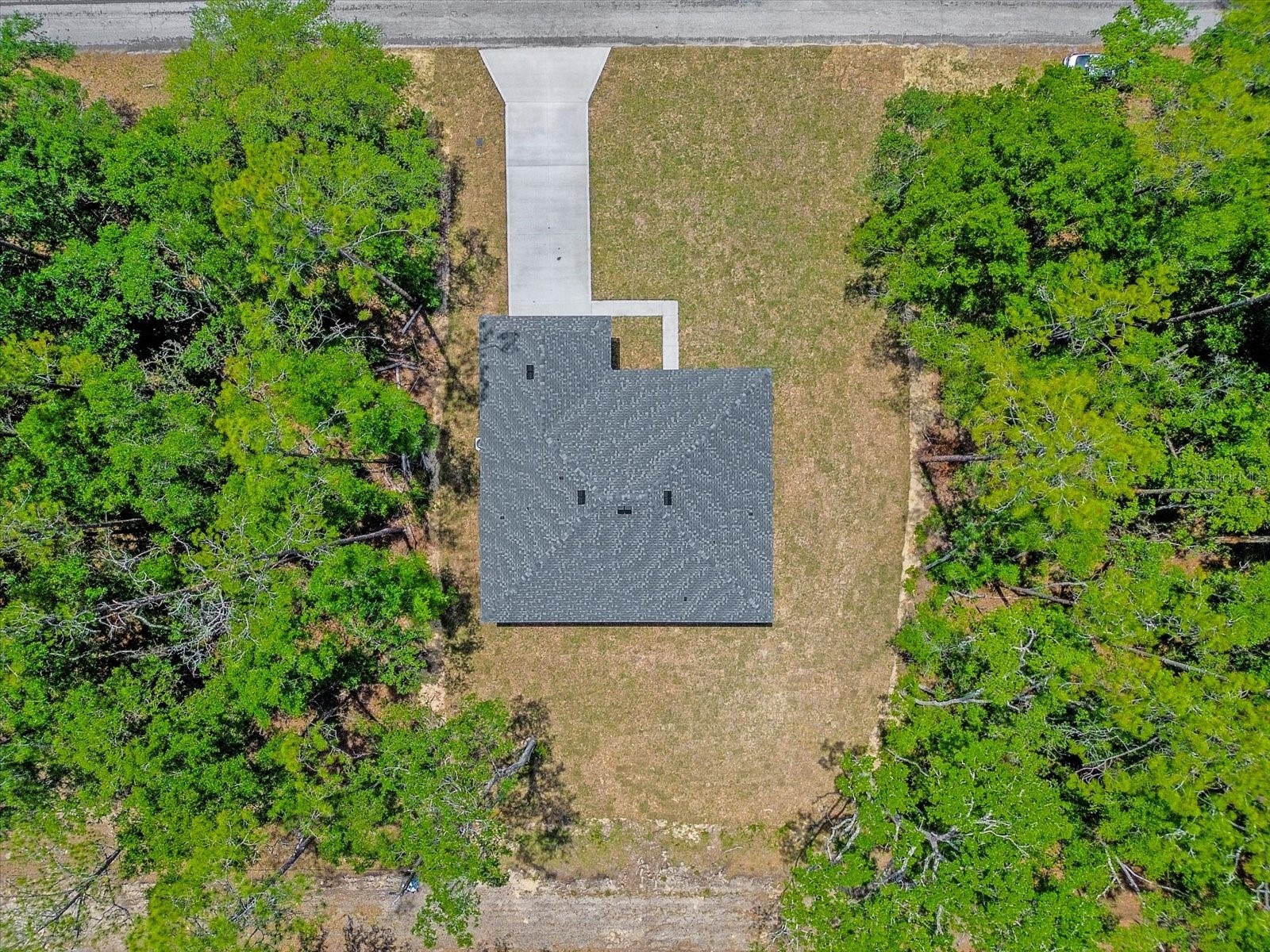1377 W Alexander Drive Citrus Springs FL 34434 O6406246 image45
