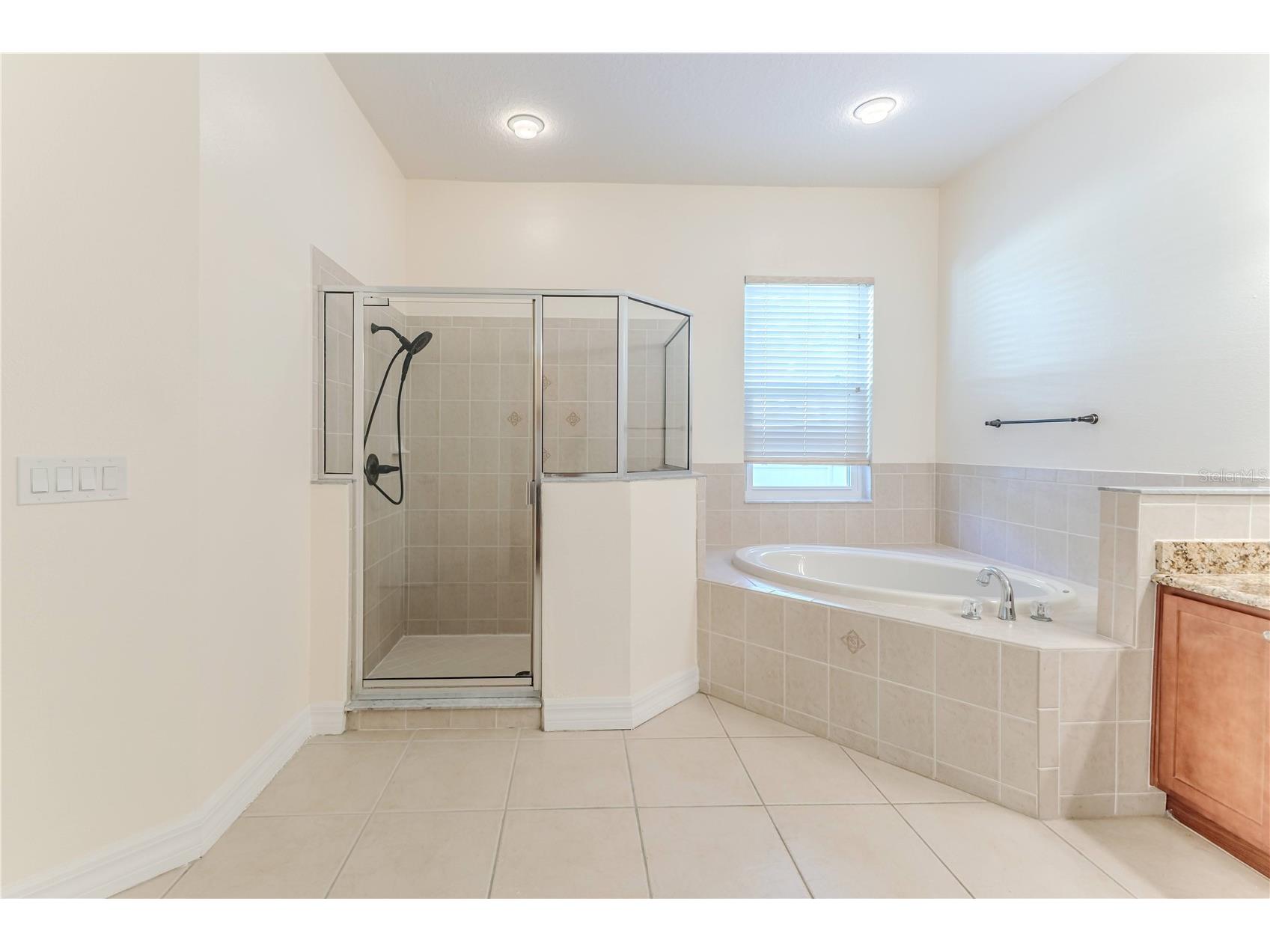 13772 Dunwoody Drive Spring Hill FL 34609 W7886794 image34
