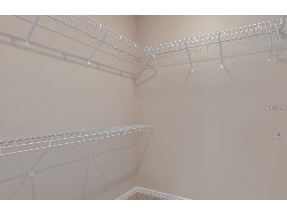 13772 Rocky Pine Place Spring Hill FL 34610 TB8438563 image9