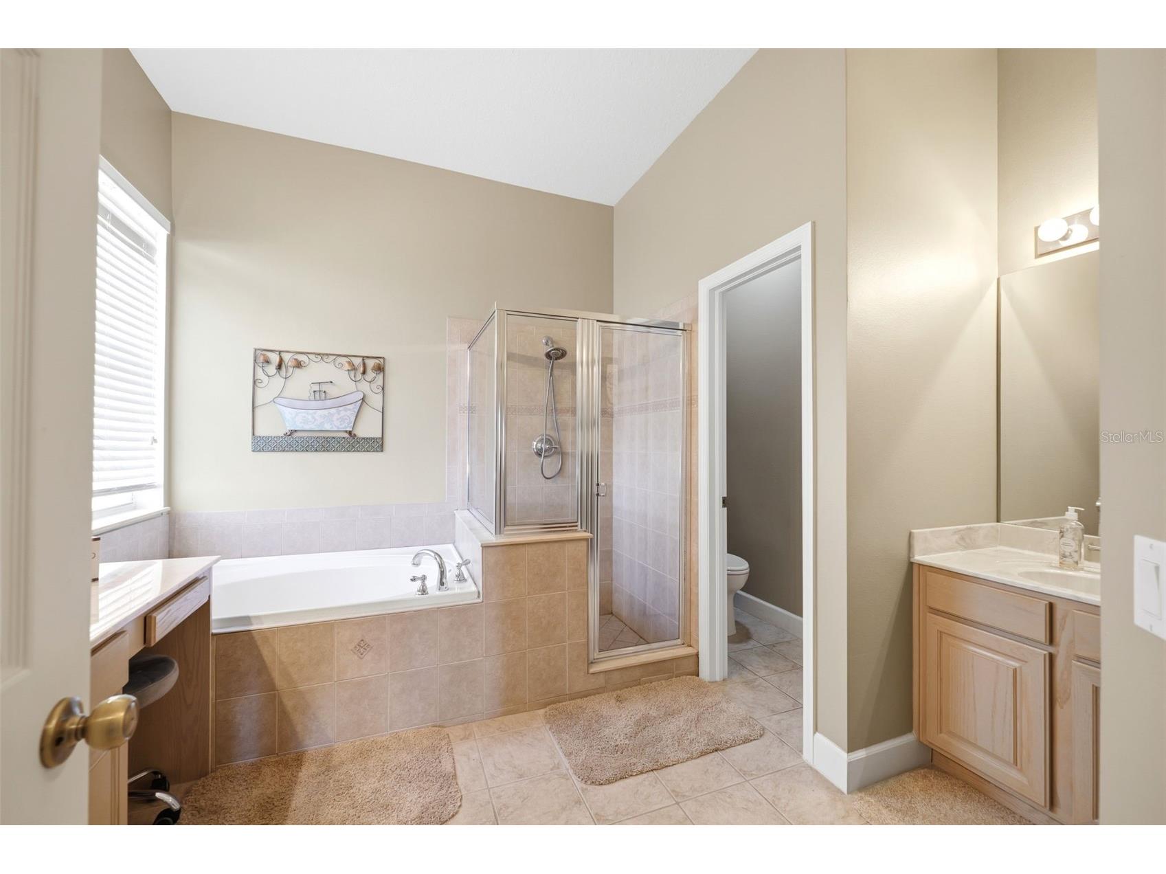 13776 Blythewood Drive Spring Hill FL 34609 W7885909 image20