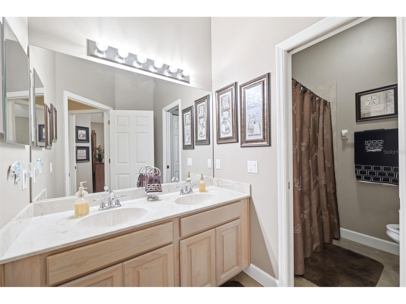 13776 Blythewood Drive Spring Hill FL 34609 W7885909 image24