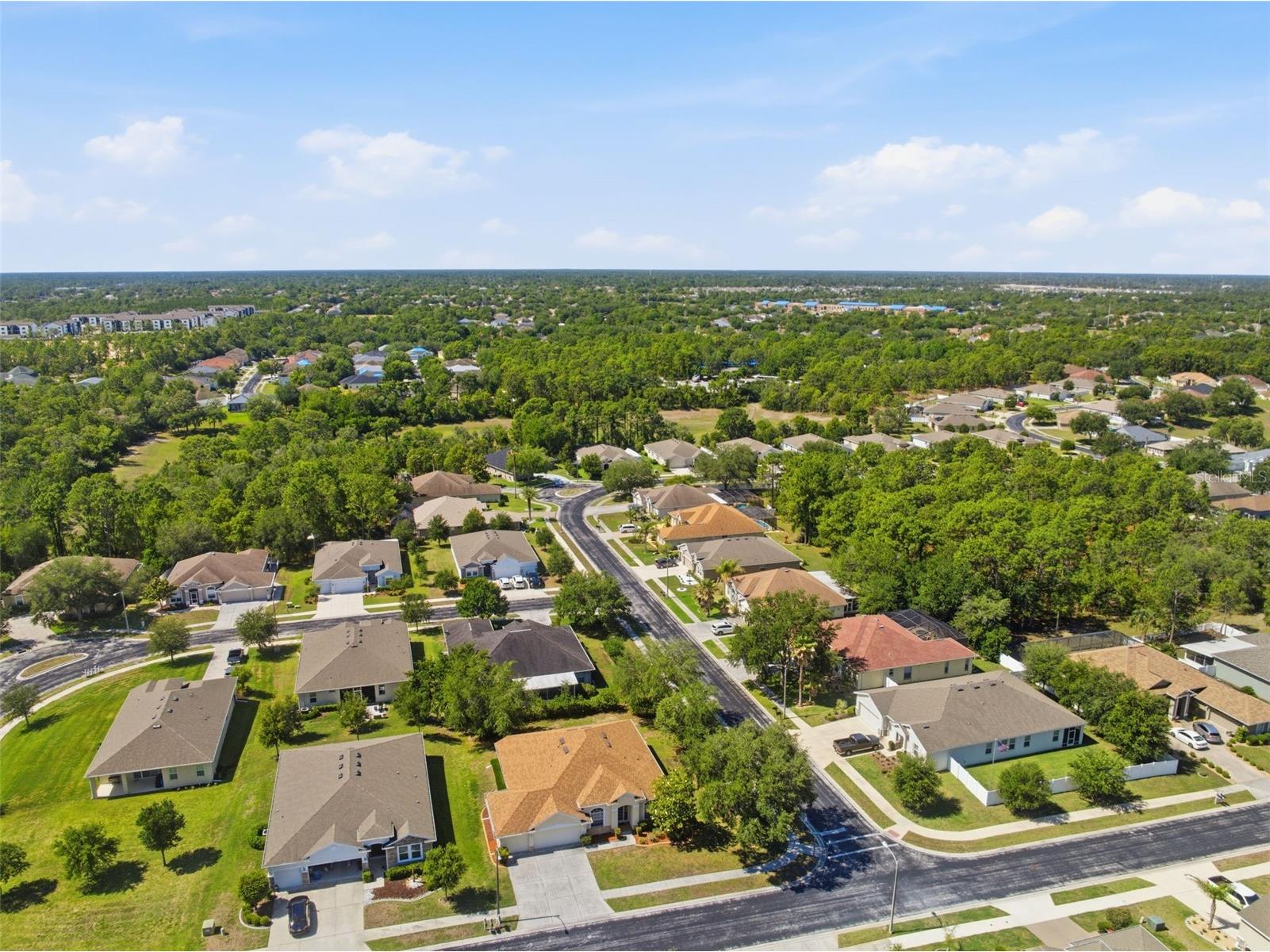 13776 Blythewood Drive Spring Hill FL 34609 W7885909 image39