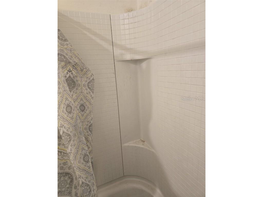 1378 Fox Squirrel Drive Davenport FL 33897 P4934869 image35