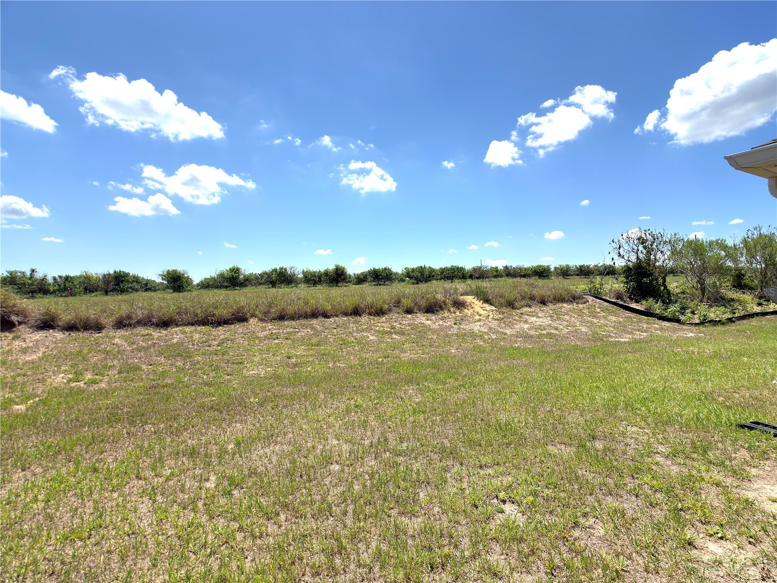 1378 Legatto Loop Dundee FL 33838 O6403272 image26