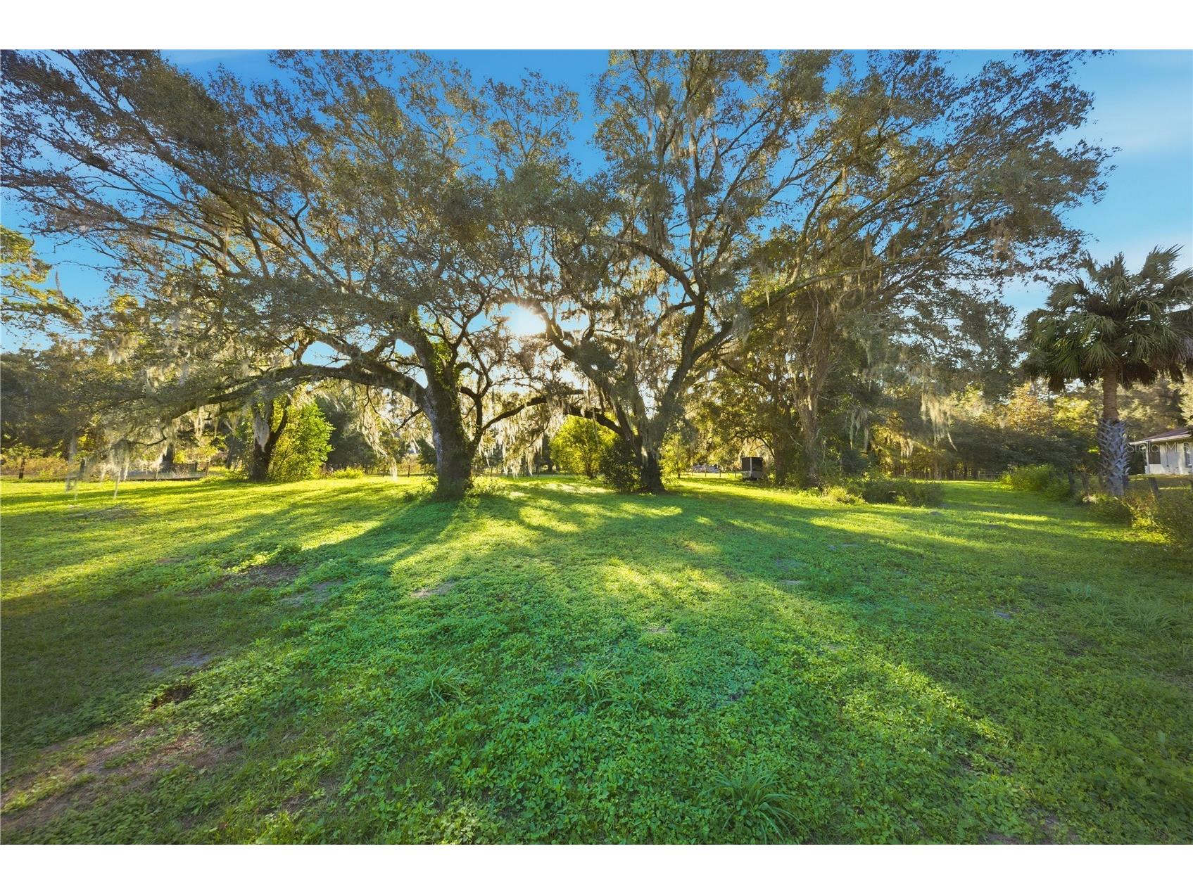 13785 SE 8th Court Ocala FL 34480 OM713326 image7
