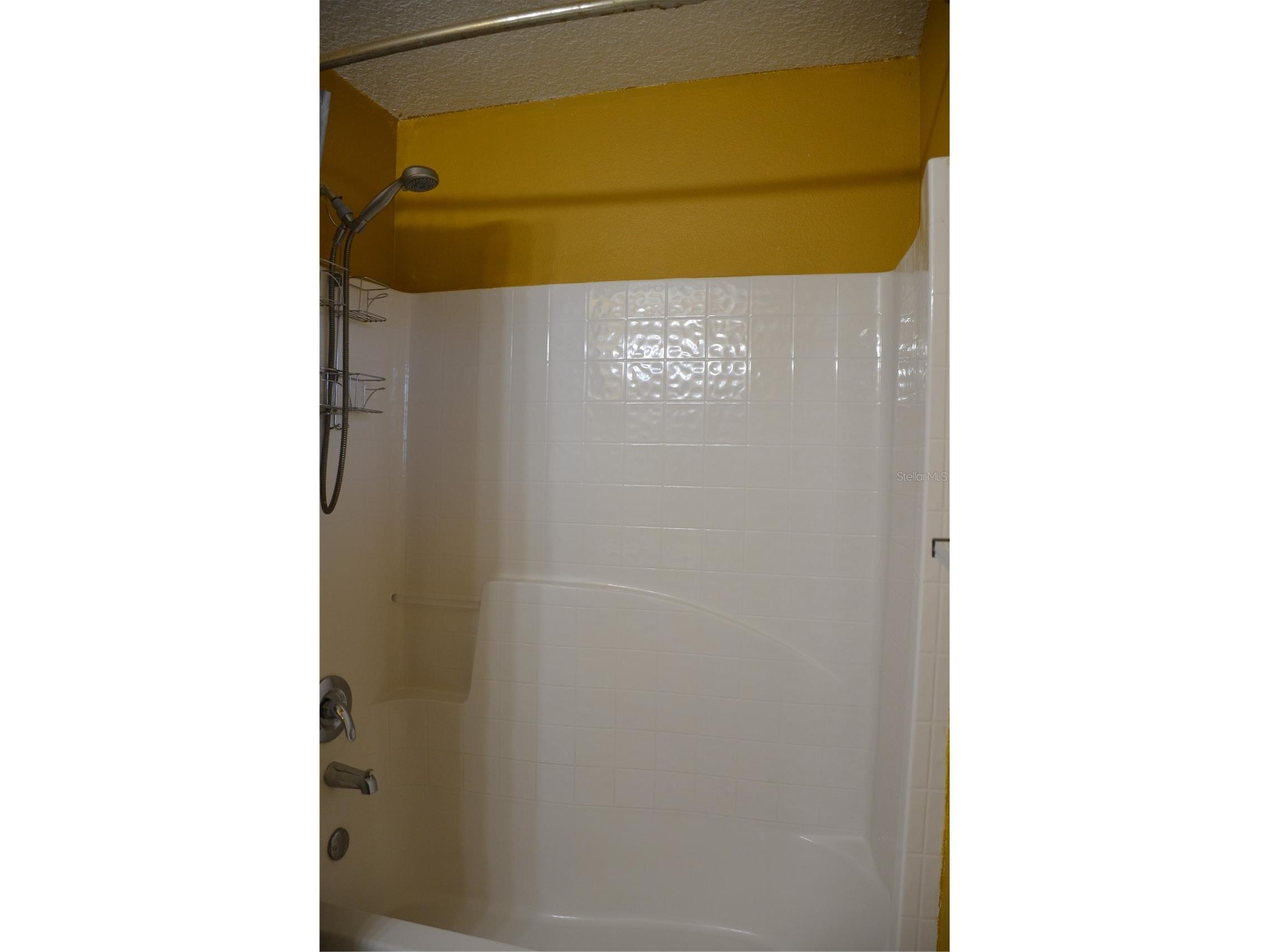 13785 SW 42nd Court Road Ocala FL 34473 OM723448 image13