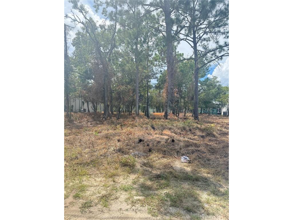 13786 Linden Drive Spring Hill FL 34609 TB8432261 image1